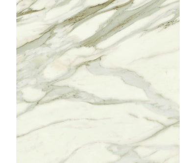 24X24 Marvel Meraviglia Calacatta Bernini Matte Rt.