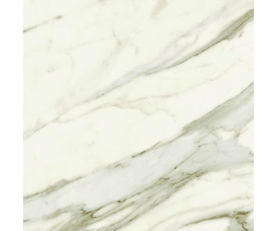 24X24 Marvel Meraviglia Calacatta Bernini Matte Rt.