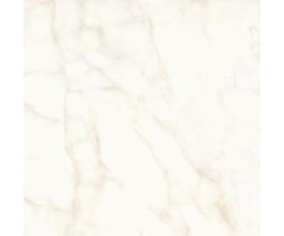 24X24 Marvel Shine Calacatta Delicato Lap.