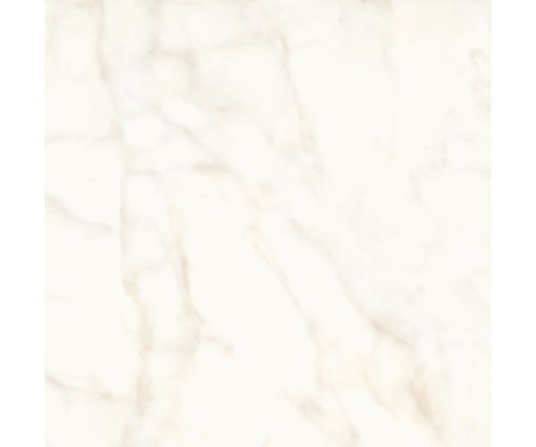 24X24 Marvel Shine Calacatta Delicato Lap.