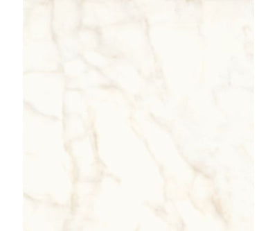 24X24 Marvel Shine Calacatta Delicato Nat.