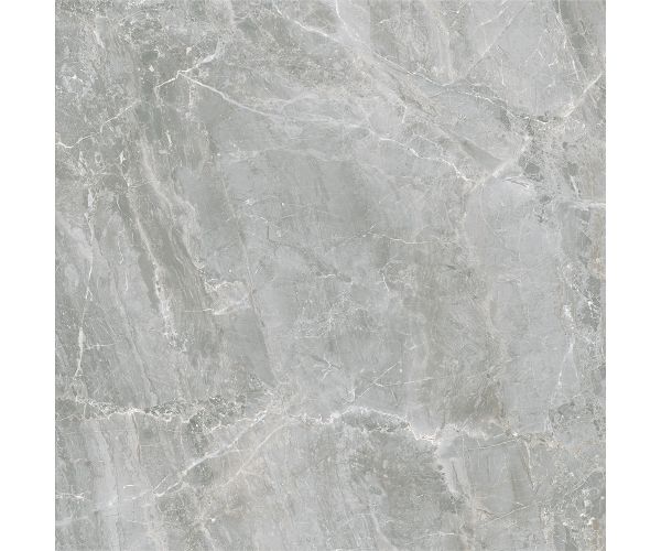 24X24 Sublime Grey Matt Rt