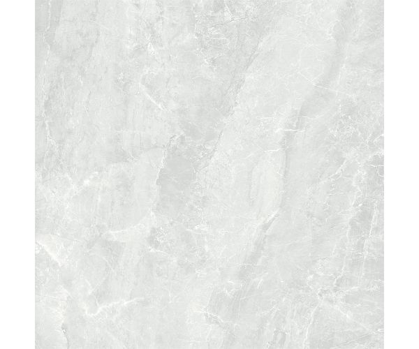 24X24 Sublime White Matt Rt