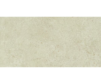 24X48 Boost Vision Camel Matte Rt