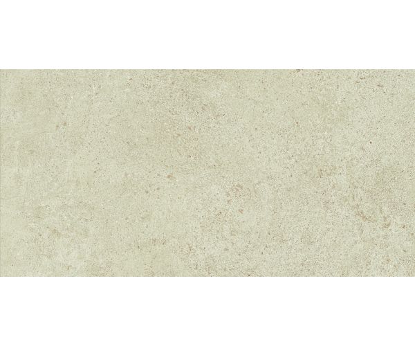 24X48 Boost Vision Camel Matte Rt