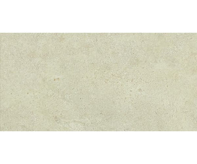 24X48 Boost Vision Camel Matte Rt