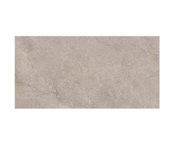 24X48 Evolution Light Grey Soft Shiny Rt