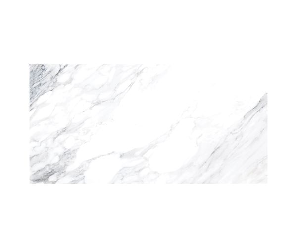 24X48 Geomarble Dante Blanco Brillo Rt