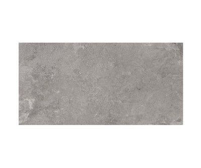 24X48 Lunar Silver Rt