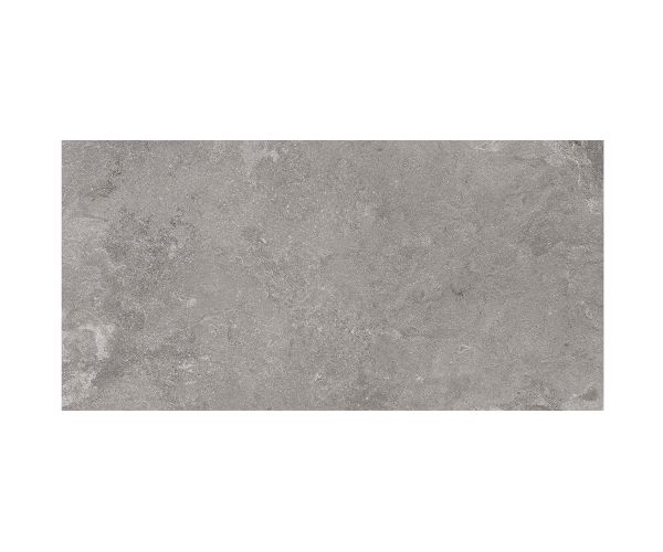 24X48 Lunar Silver Rt