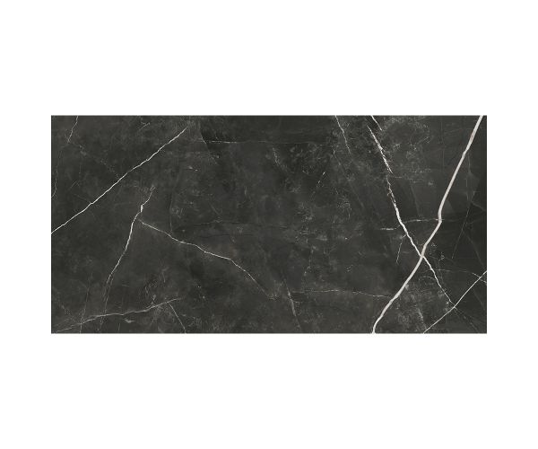 24X48 Marvel Gala Calacatta Black Lev. Rt