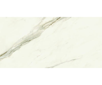 24X48 Marvel Meraviglia Calacatta Bernini Velvet Rt.
