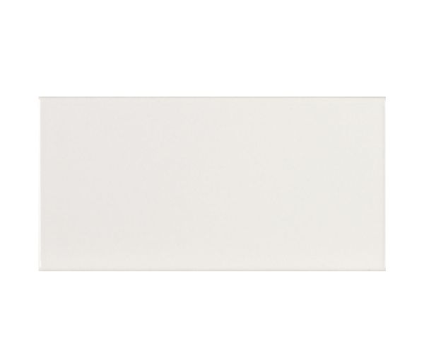 3''x6'' Evolution Blanco Brillo