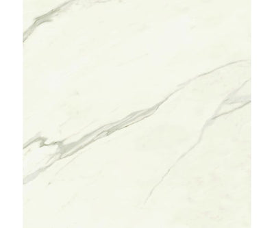 48X48 Marvel Meraviglia Calacatta Bernini Lap. Rt.