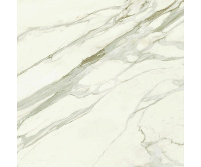 48X48 Marvel Meraviglia Calacatta Bernini Lap. Rt.