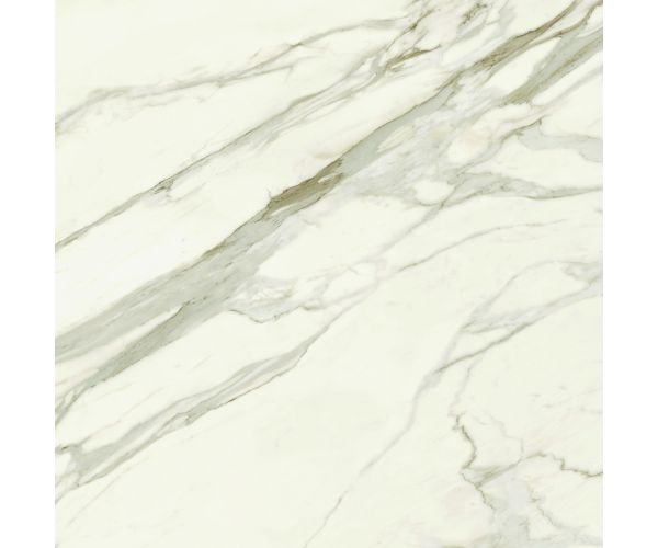 48X48 Marvel Meraviglia Calacatta Bernini Lap. Rt.