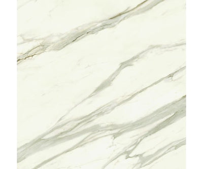 48X48 Marvel Meraviglia Calacatta Bernini Lap. Rt.