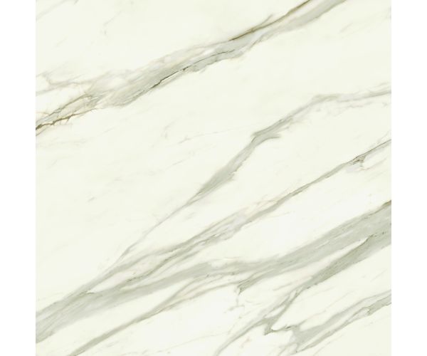 48X48 Marvel Meraviglia Calacatta Bernini Lap. Rt.