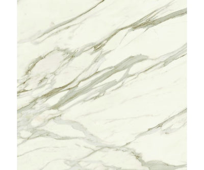 48X48 Marvel Meraviglia Calacatta Bernini Lap. Rt.