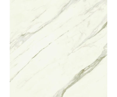 48X48 Marvel Meraviglia Calacatta Bernini Lap. Rt.