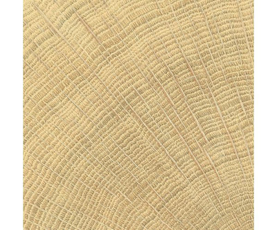 4X4 W-Circles Oak Nat.