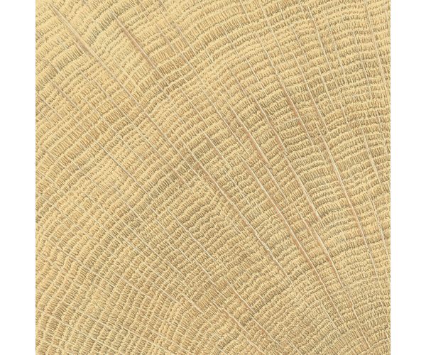 4X4 W-Circles Oak Nat.