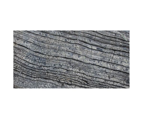 12''x24'' Silverwave Poli
