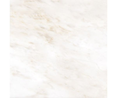12X12 Classica Calacatta Ambra Matt Rt