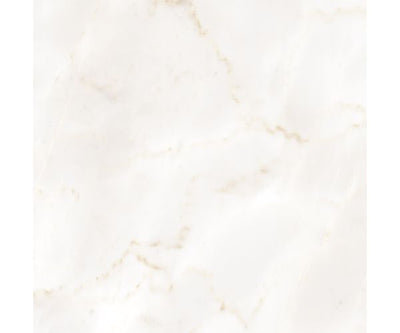 12X12 Classica Calacatta Ambra Matt Rt