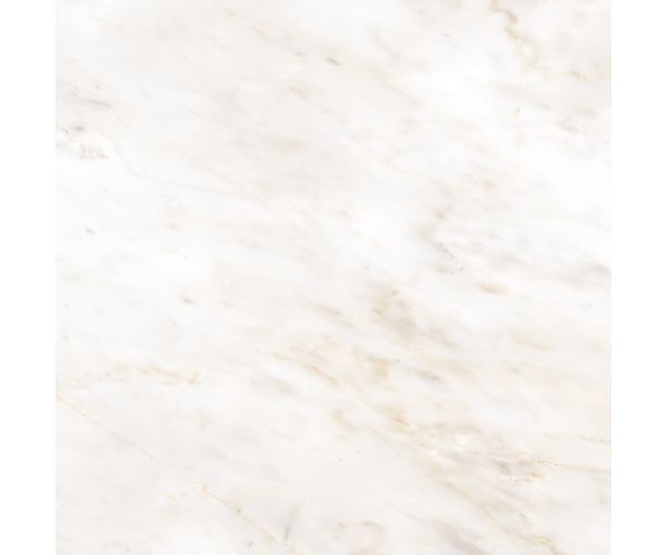 12X12 Classica Calacatta Ambra Matt Rt