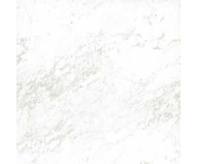 12X12 Classica Carrara Matt Rt