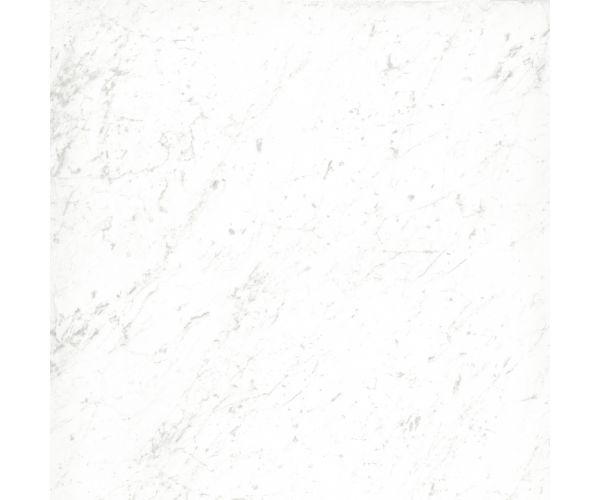 12X12 Classica Carrara Matt Rt