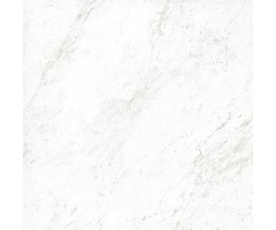 12X12 Classica Carrara Matt Rt