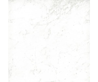 12X12 Classica Carrara Matt Rt