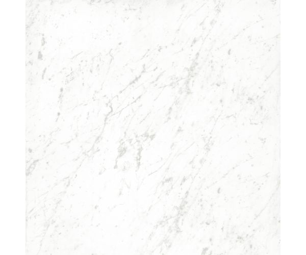12X12 Classica Carrara Matt Rt