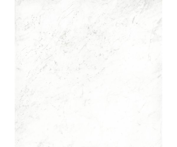 12X12 Classica Carrara Matt Rt