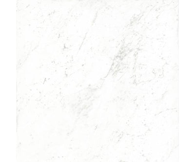 12X12 Classica Carrara Matt Rt