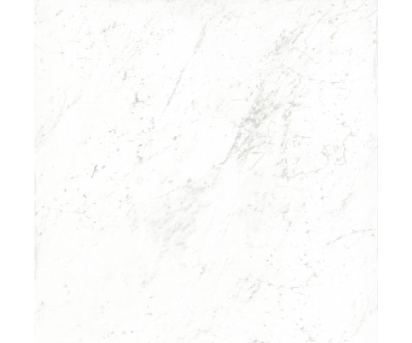 12X12 Classica Carrara Matt Rt