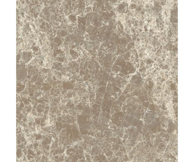 12X12 Classica Dark Emperador Matt Rt