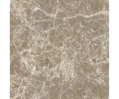 12X12 Classica Dark Emperador Matt Rt
