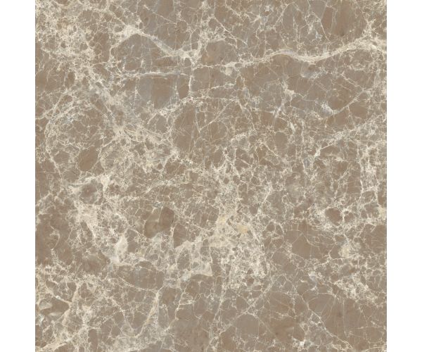 12X12 Classica Dark Emperador Matt Rt