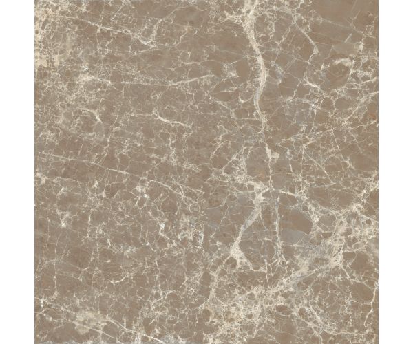 12X12 Classica Dark Emperador Matt Rt