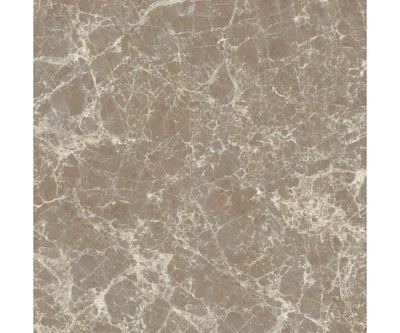 12X12 Classica Dark Emperador Matt Rt
