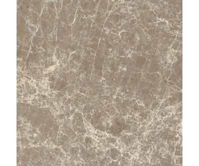 12X12 Classica Dark Emperador Matt Rt