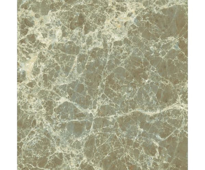 12X12 Classica Dark Emperador Matt Rt