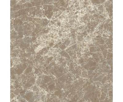 12X12 Classica Dark Emperador Matt Rt