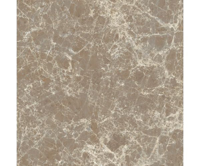 12X12 Classica Dark Emperador Matt Rt