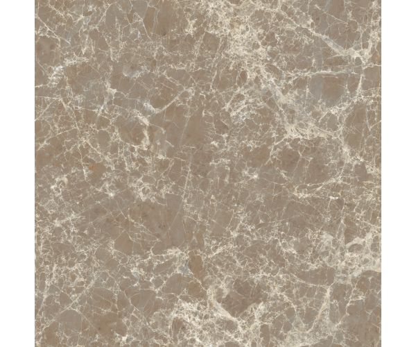 12X12 Classica Dark Emperador Matt Rt