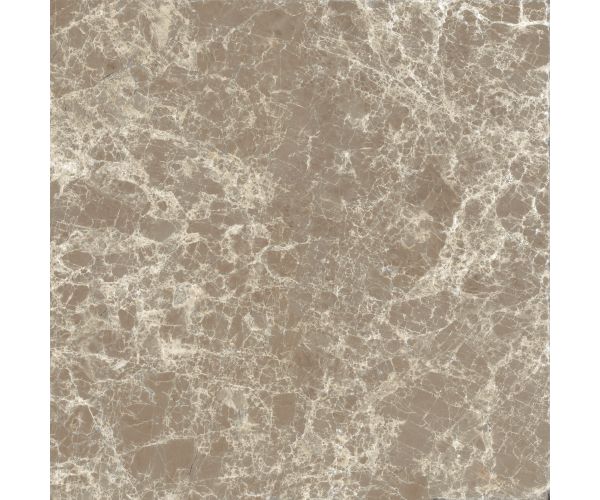 12X12 Classica Dark Emperador Matt Rt