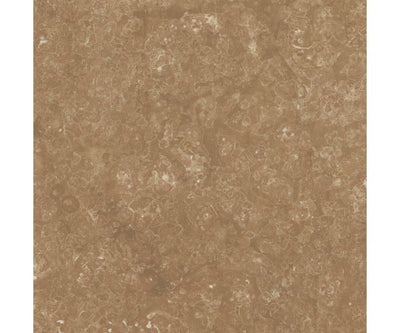 12X12 Classica Rosso Verona Matt Rt